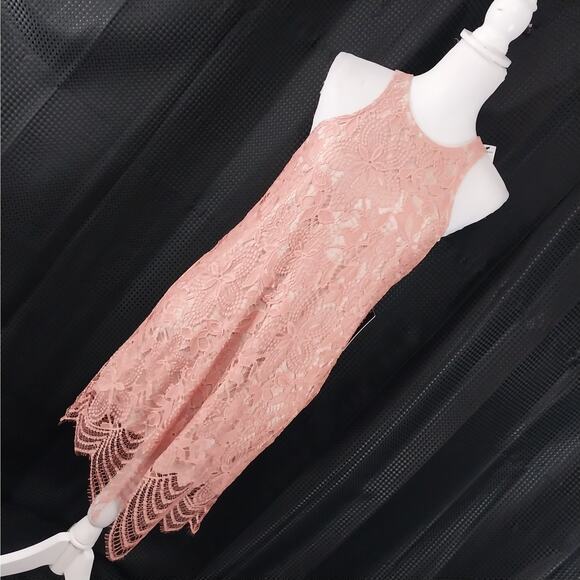 NWT@$70! EXPRESS! SWEET DUSTY MELON PINK LACE SHIFT DRESS, SLEEVELESS! SZ M - Picture 1 of 10
